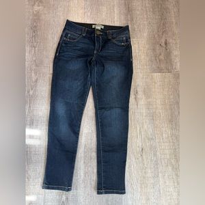 Democracy Abroad Solution Blue Size 4 Jeans Built in Elastic Waistband